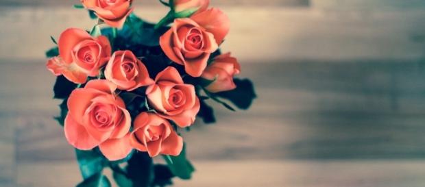 Free photo: Roses, Flowers, Bouquet, Love - Free Image on Pixabay ... - pixabay.com Free photo: Roses, Flowers, Bouquet, Love - Free Image on Pixabay ... - pixabay.com