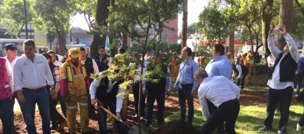 Miguel Ángel Mancera planta un árbol durante programa Tu Ciudad te Requiere. Miguel Ángel Mancera planta un árbol durante programa Tu Ciudad te Requiere.