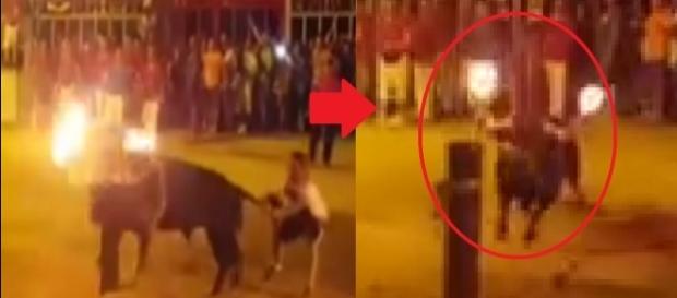 Touro se mata na Espanha em ato de desespero (Foto: Reprodução/Facebook) Touro se mata na Espanha em ato de desespero (Foto: Reprodução/Facebook)