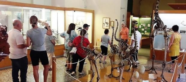 A Firenze visite gratuite nei musei per le persone con disabilità A Firenze visite gratuite nei musei per le persone con disabilità