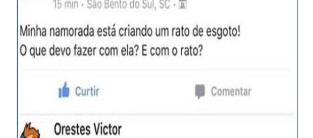 Veja a resposta que esse garoto levou ao fazer pergunta no Facebook Veja a resposta que esse garoto levou ao fazer pergunta no Facebook
