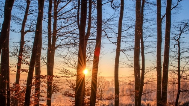 12 regole importanti per chi viaggia nella natura.