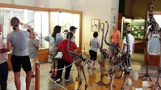 A Firenze visite gratuite nei musei per le persone con disabilit&agrave;