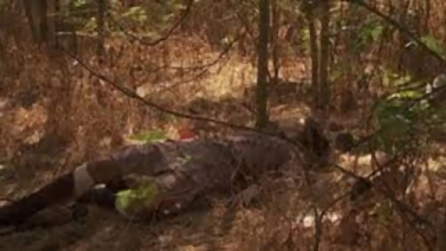 Il Segreto, trame fine agosto 2017.