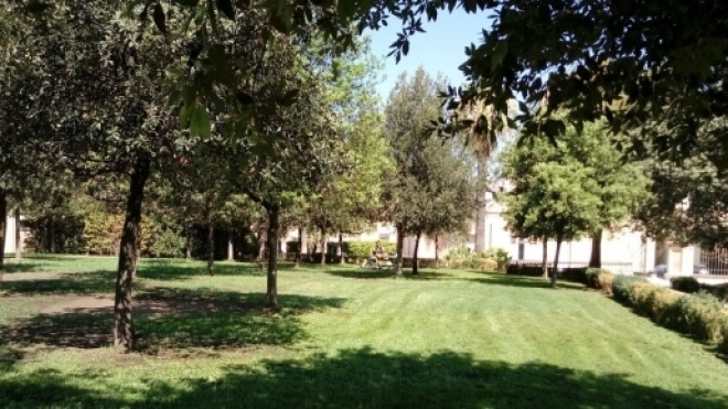 Villa Vannucchi: in atto le azioni di potatura.
