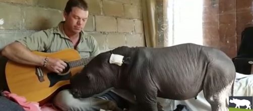 Photo abandoned baby rhino being serenaded to sleep screen capture from YouTube/Care for Wild Rhino Sanctuary