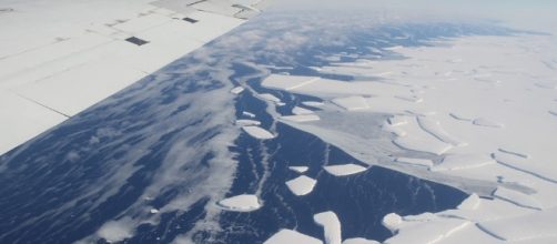 Why you should care about the Larsen C ice-shelf — The Daily Campus - dailycampus.com