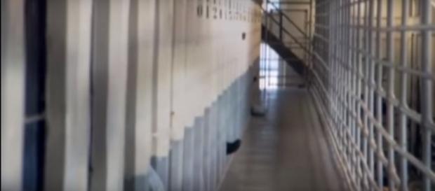 Image by Top 100 Vids/YouTube screencap of ‘Deep Inside the Gangster Disciples Street Gang.’ Image by Top 100 Vids/YouTube screencap of ‘Deep Inside the Gangster Disciples Street Gang.’