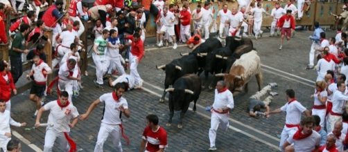 San Fermin kicked off in Spain, and the running bulls await. - photo via Sanfermin.com/Flickr - flickr.com
