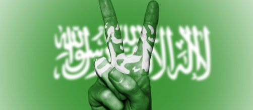 Saudi Arabia - peaceful or promoting terror? Image credit CCO Public Domain Pixabay