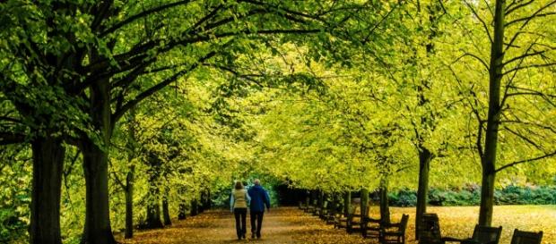 Cuidar al medio ambiente es cuidar la salud | Discovery - discovery.com Cuidar al medio ambiente es cuidar la salud | Discovery - discovery.com
