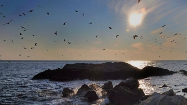 Oroscopo della settimana | previsioni settimanali da lunedì 10 a domenica 16 luglio 2017: previsioni, voti e giorni 'ok'