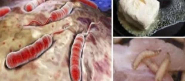 Alimentos que não devem ser consumidos, segundo médicos (Foto: Reprodução) Alimentos que não devem ser consumidos, segundo médicos (Foto: Reprodução)