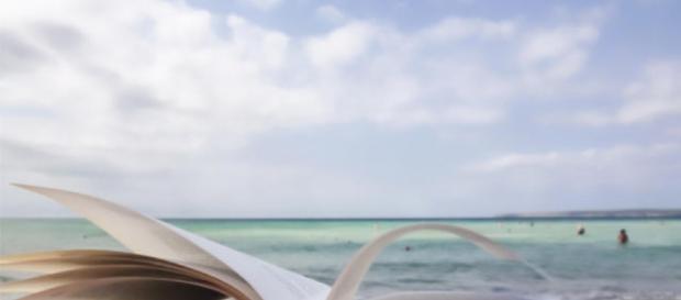 libri da leggere questa estate - news-town.it libri da leggere questa estate - news-town.it