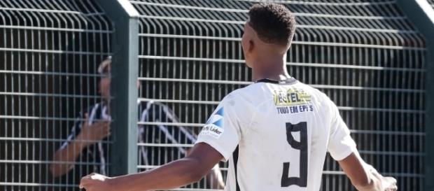 Marca ficará exposta nas costas das camisas. Marca ficará exposta nas costas das camisas.
