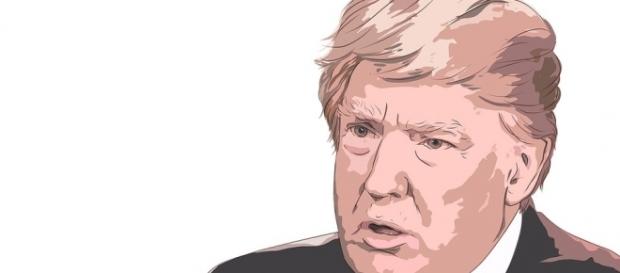 Donald Trump is in the eye of the storm.https://pixabay.com/en/donald-trump-2333743/ Donald Trump is in the eye of the storm.https://pixabay.com/en/donald-trump-2333743/