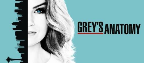 ''Grey's Anatomy'' é um seriado da TV paga