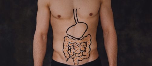 Cancro del colon retto, scoperto meccanismo cellulare correlato ad una dieta ricca di grassi - foto: lauraferrero