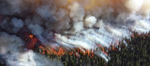 Wildfires during the summer can soon become uncontrollable. (Image credit NPS Climate Change Response / Flickr)