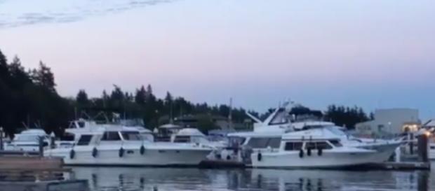 Active shooting Bainbrdge Eagle Harbor (Image credit K Drew Komo Twitter) Active shooting Bainbrdge Eagle Harbor (Image credit K Drew Komo Twitter)