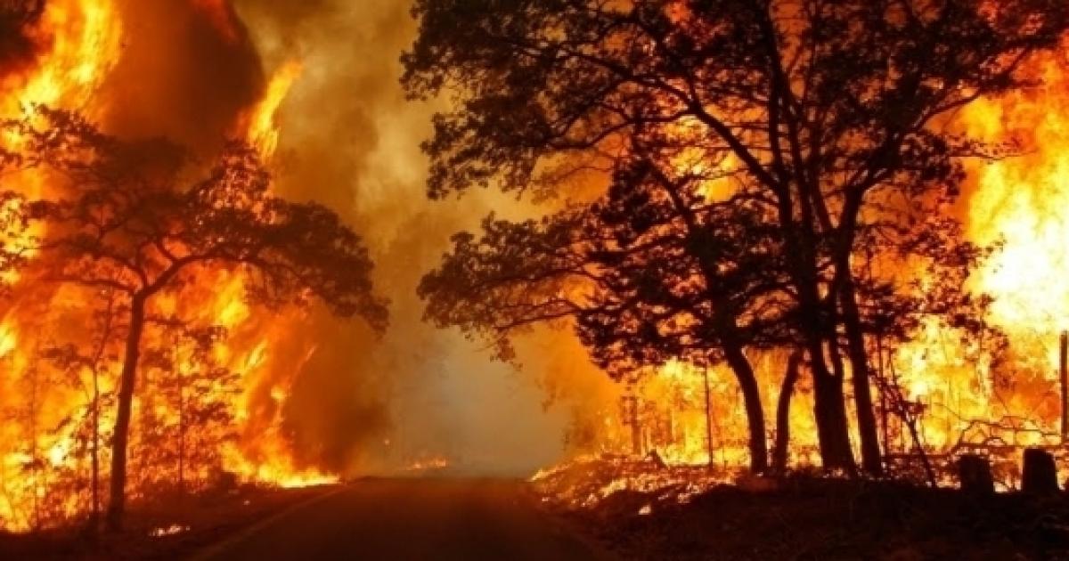 'Fermiamo gli incendi in Italia': si richiede una