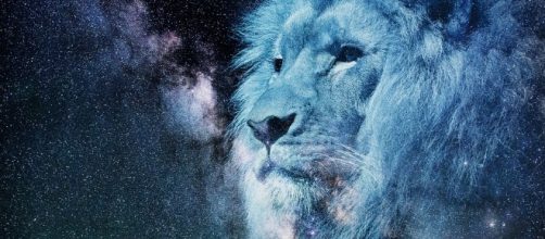 Free illustration: Leo, Starry Sky, Night, Blue - Free Image on ... - pixabay.com