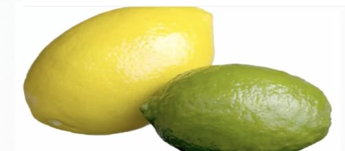 Lemons and Limes / Screenshot via YouTube