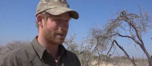 Prince Harry and Rhino Conservation Botswana - Rhino Conservation Botswana | YouTube