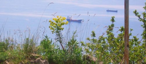 mare visto dalla vedetta di S.Croce, Trieste