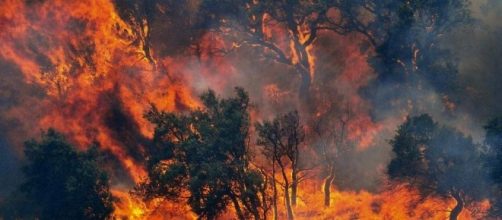 Regione Campania, una delle più colpite dagli incendi insieme a Sicilia e Calabria.