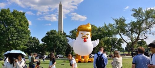 Standing at the Ellipse south of the White House, Chicken Trump poses for pictures. / from 'YouTube' screen grab