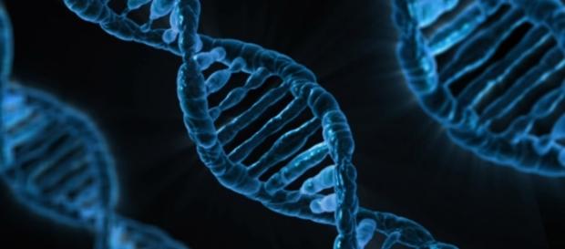 CRISPR-Cas9 is an innovative gene modification technique. Photograph courtesy of: PublicDomainPictures/Pixabay CRISPR-Cas9 is an innovative gene modification technique. Photograph courtesy of: PublicDomainPictures/Pixabay