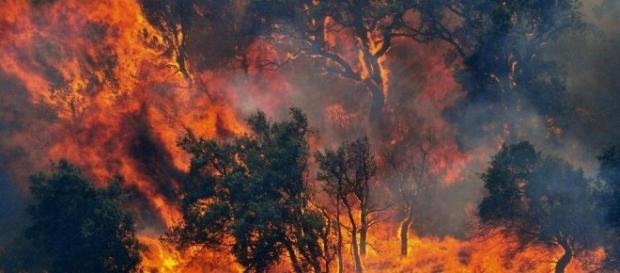 Regione Campania, una delle più colpite dagli incendi insieme a Sicilia e Calabria. Regione Campania, una delle più colpite dagli incendi insieme a Sicilia e Calabria.