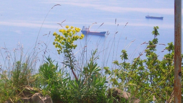 mare visto dalla vedetta di S.Croce, Trieste