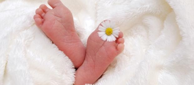 Birth - Free images on Pixabay - pixabay.com Birth - Free images on Pixabay - pixabay.com