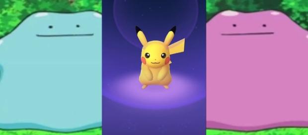 'Pokemon Go' Ditto: trolling players again masquerading as Shiny Pikachu(CYCHREUS GAMING/YouTube Screenshot) 'Pokemon Go' Ditto: trolling players again masquerading as Shiny Pikachu(CYCHREUS GAMING/YouTube Screenshot)