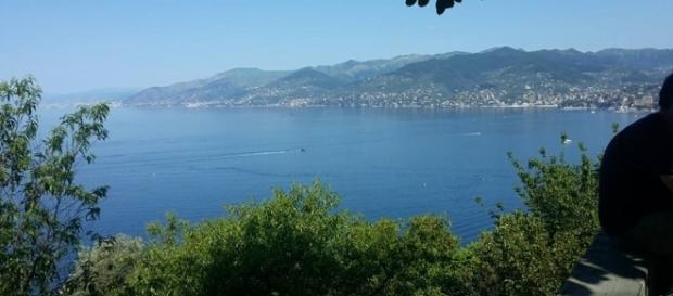 San Rocco di camogli, vista dalla chiesa. San Rocco di camogli, vista dalla chiesa.