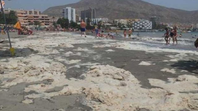 Preoccupante proliferazione massiva di alghe alle Isole Canarie