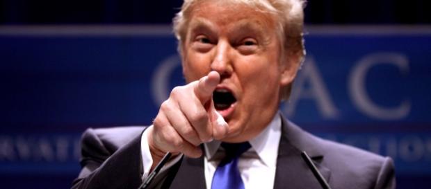 Image of Donald Trump via Flickr. Image of Donald Trump via Flickr.