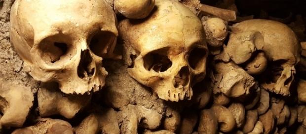 Una guerra vigente que ya duró dos sexenios, 300 mil víctimas entre muertos y desaparecidos, demostraron que la muerte es negocio rentable. Una guerra vigente que ya duró dos sexenios, 300 mil víctimas entre muertos y desaparecidos, demostraron que la muerte es negocio rentable.