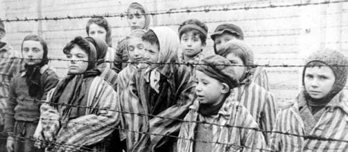 https://commons.wikimedia.org/wiki/File:Child_survivors_of_Auschwitz.jpeg