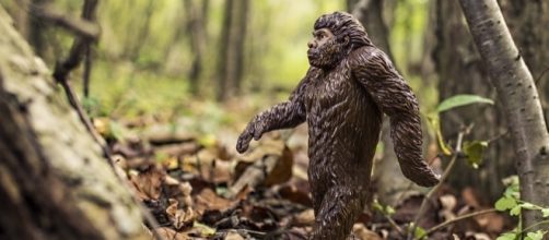 Representation of Bigfoot [Image: Pixabay/CC0]