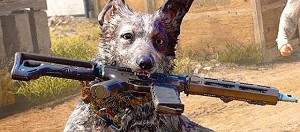 'Far Cry 5' dog companion Boomer indestructible with fire, more details revealed(Izuniy/YouTube Screenshot) 'Far Cry 5' dog companion Boomer indestructible with fire, more details revealed(Izuniy/YouTube Screenshot)