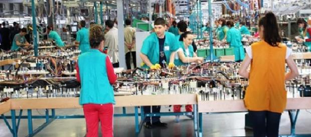 Peste 1.000 de locuri de muncă la fabrica de cablaje auto Peste 1.000 de locuri de muncă la fabrica de cablaje auto
