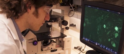 Stem Cell Application for multi organ appliation research in an FDA Laboratory in an NHI campus in Bethesda, Md. (Image by the USFDA/Flickr)