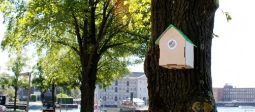 Treewifi, l'hotspot wifi gratuito se non inquini