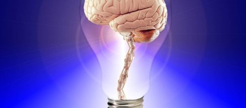 Free illustration: Brain, Think, Human, Idea - Free Image on ... - pixabay.com