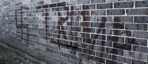 Swastika and Trump on a wall, together. / [Image by Om1cron via Flickr, Public Domain]