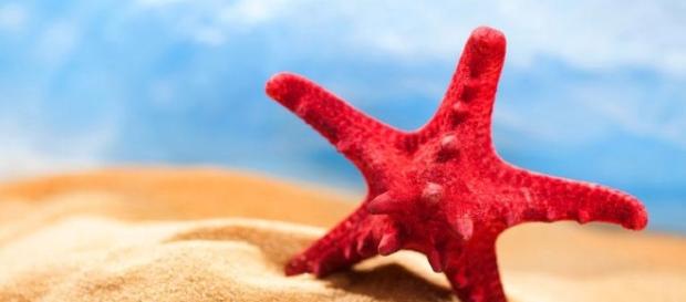 Perchè festeggiamo il ferragosto? Perchè festeggiamo il ferragosto?