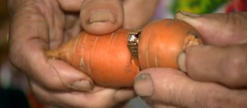 Canadian woman finally gets her lost diamond ring back, on a carrot [Image: YouTube/ CTV News]